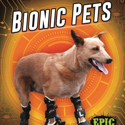 Bionic Pets