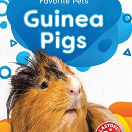 Guinea Pigs