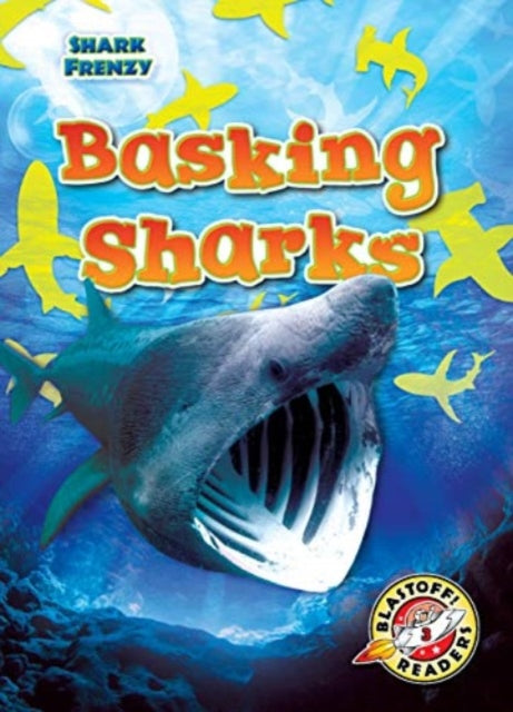 Basking Sharks