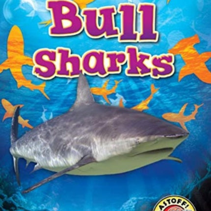 Bull Sharks