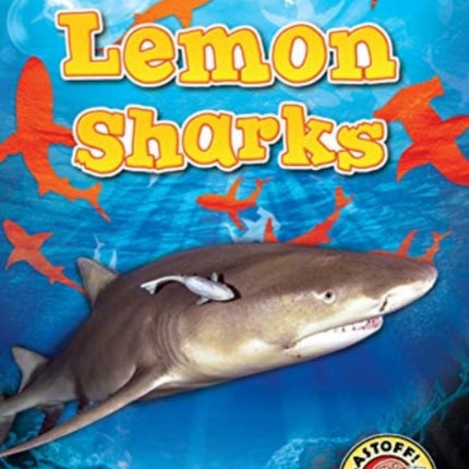 Lemon Sharks