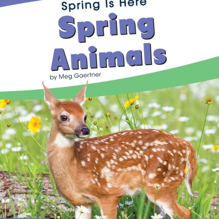 Spring Is Here: Spring Animals