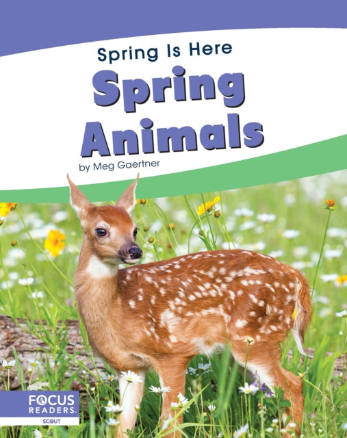 Spring Is Here: Spring Animals