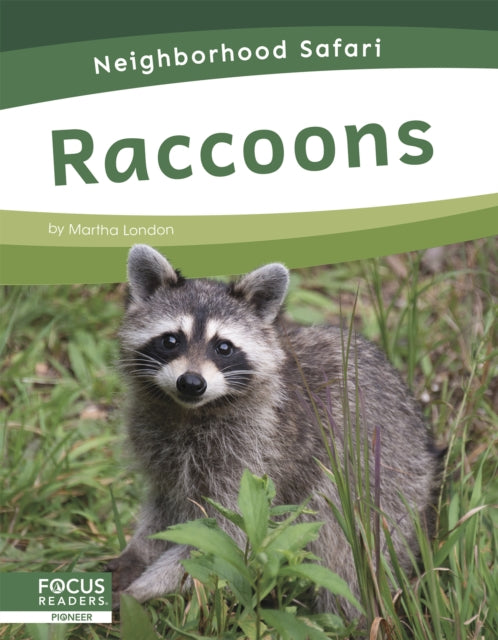 Neighborhood Safari: Raccoons