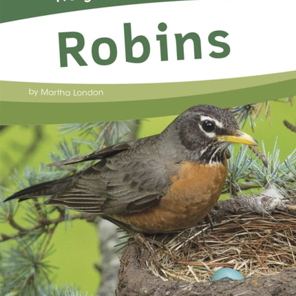 Neighborhood Safari: Robins