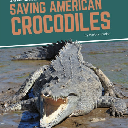 Saving Animals: Saving American Crocodiles