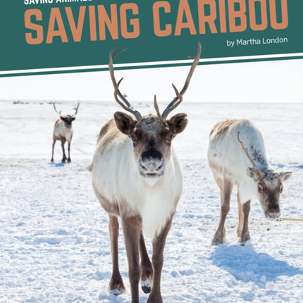 Saving Animals: Saving Caribou