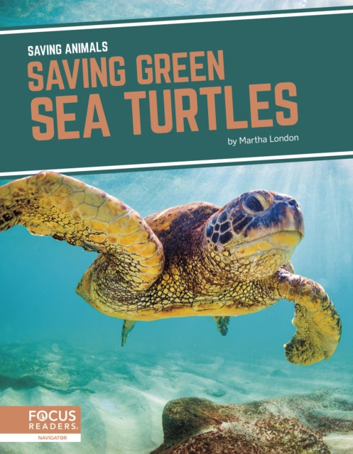 Saving Animals: Saving Green Sea Turtles