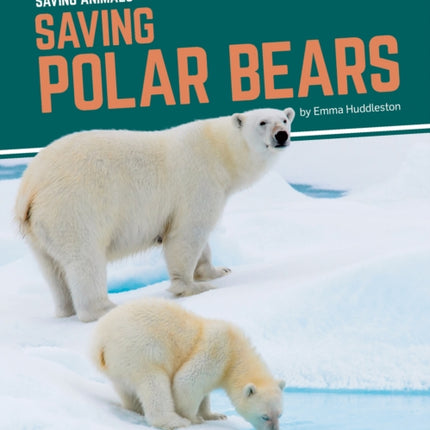 Saving Animals: Saving Polar Bears