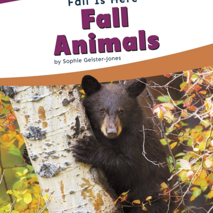 Fall is Here: Fall Animals