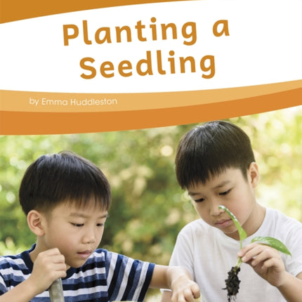 Life Skills: Planting a Seedling