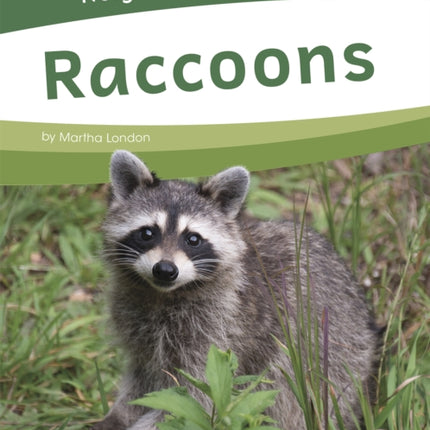 Neighborhood Safari: Raccoons