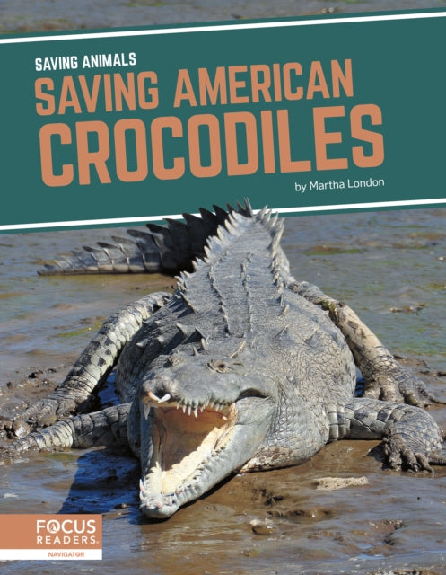 Saving Animals: Saving American Crocodiles