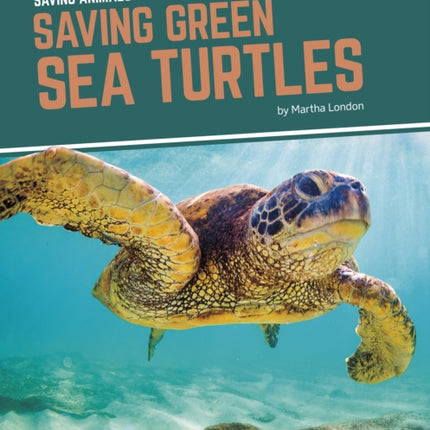 Saving Animals: Saving Green Sea Turtles