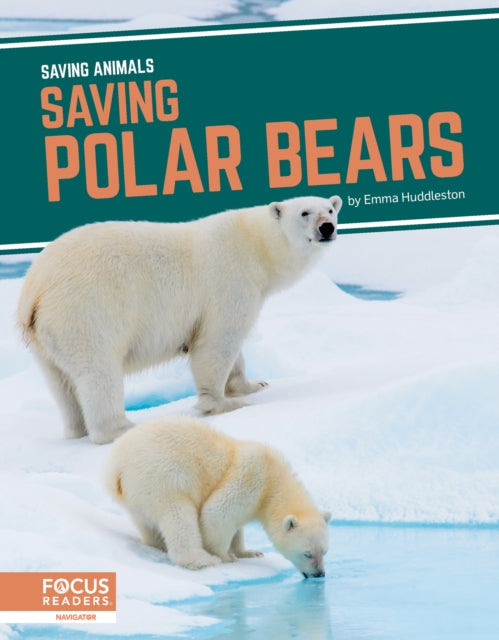 Saving Animals: Saving Polar Bears