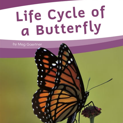 Life Cycles: Life Cycle of a Butterfly