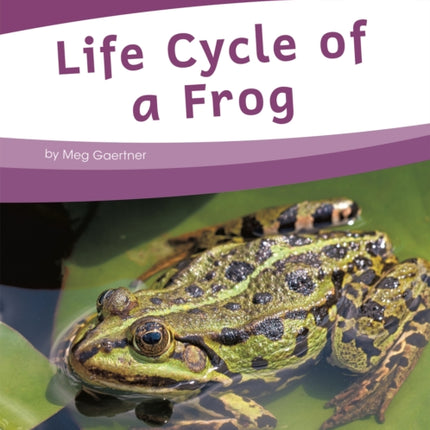 Life Cycles: Life Cycle of a Frog