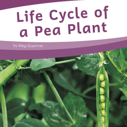 Life Cycles: Life Cycle of a Pea Plant