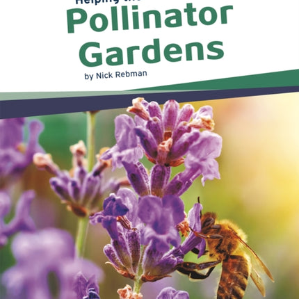 Helping the Environment: Pollinator Gardens