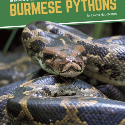 Invasive Species: Burmese Pythons