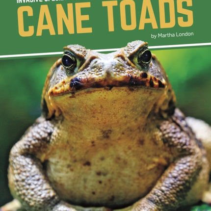 Invasive Species: Cane Toads