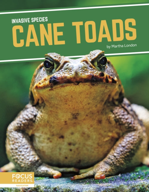 Invasive Species: Cane Toads