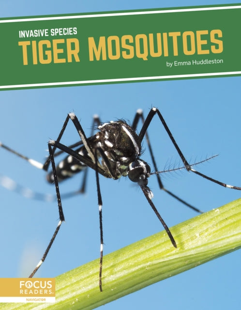 Invasive Species: Tiger Mosquitoes