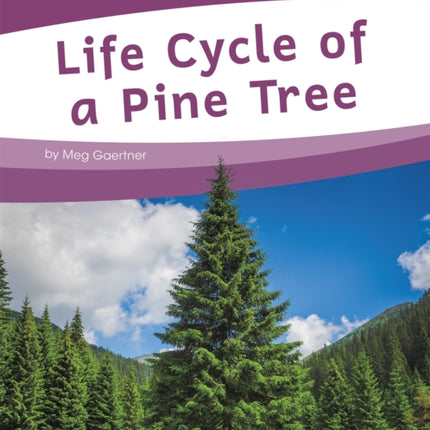 Life Cycles: Life Cycle of a Pine Tree