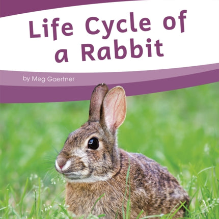 Life Cycles: Life Cycle of a Rabbit