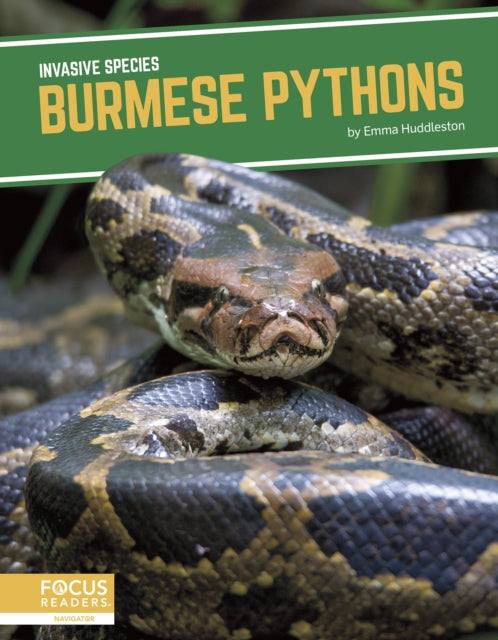 Invasive Species: Burmese Pythons