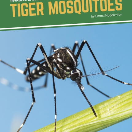 Invasive Species: Tiger Mosquitoes