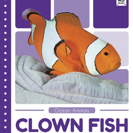 Ocean Animals: Clown Fish