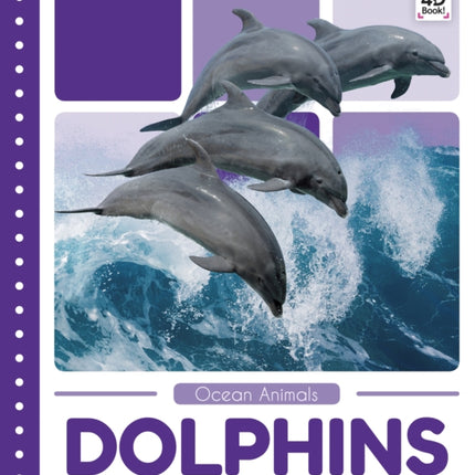 Ocean Animals: Dolphins