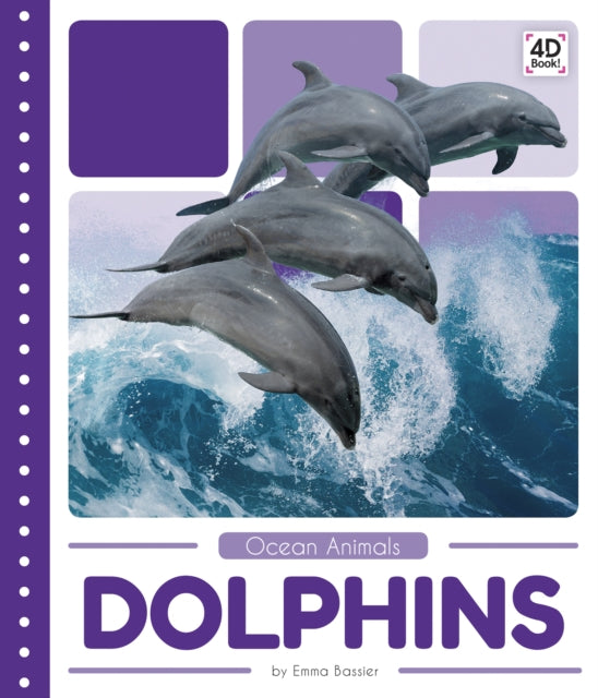 Ocean Animals: Dolphins