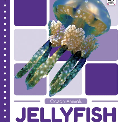 Ocean Animals: Jellyfish