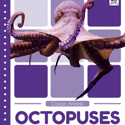 Ocean Animals: Octopuses