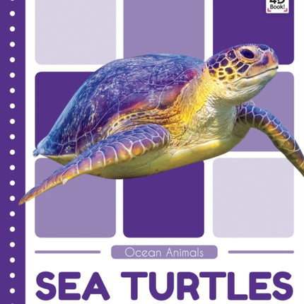 Ocean Animals: Sea Turtles