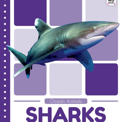 Ocean Animals: Sharks