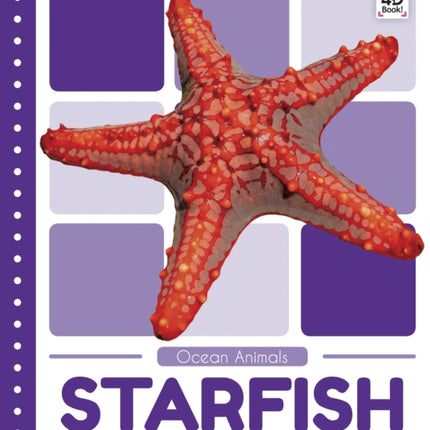 Ocean Animals: Starfish