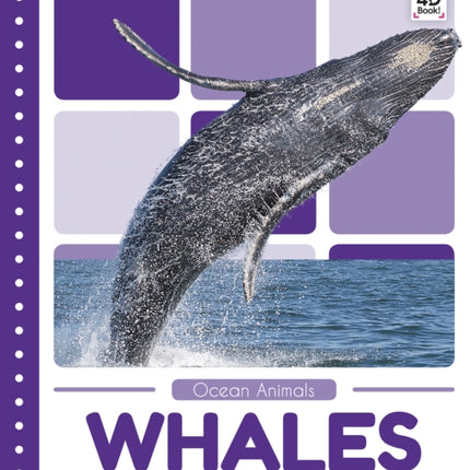 Ocean Animals: Whales