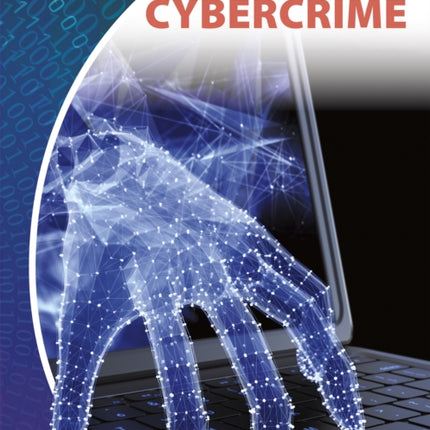 Privacy in the Digital Age: Cybercrime