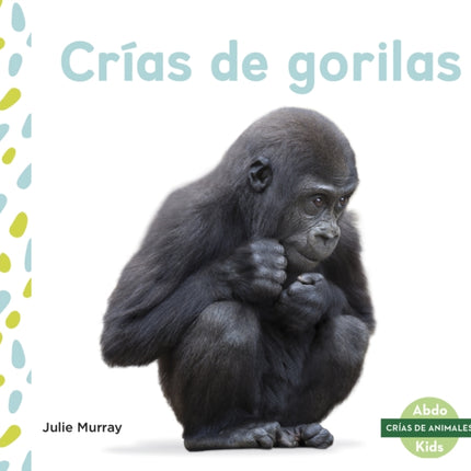 Crías de gorilas (Baby Gorillas)