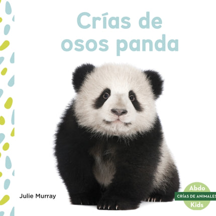 Crías de osos panda (Panda Cubs)