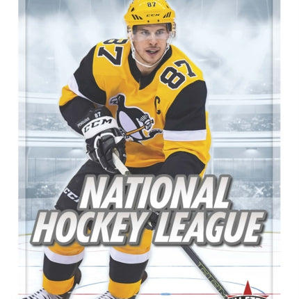 Major League Sports: National Hockey League