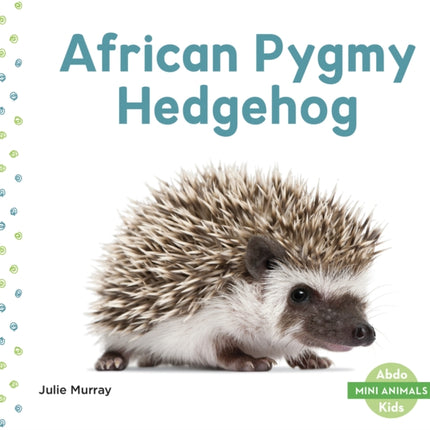 Mini Animals: African Pygmy Hedgehog