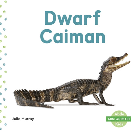 Mini Animals: Dwarf Caiman