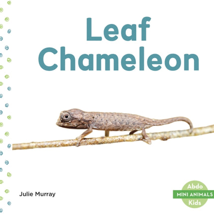 Mini Animals: Leaf Chameleon