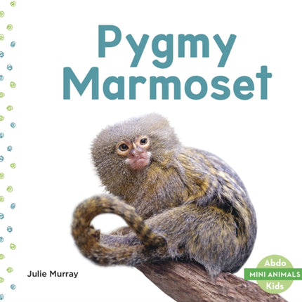 Mini Animals: Pygmy Marmoset