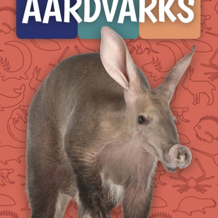 Weird and Wonderful Animals: Aardvarks