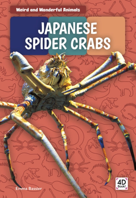 Weird and Wonderful Animals: Japanese Spider Crabs